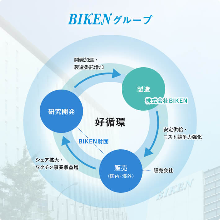 製造（株式会社BIKEN）が販売（BIKEN財団）に安定供給・コスト競争力強化し、販売（BIKEN財団）が研究開発（BIKEN財団）にシェア拡大・ワクチン事業収益増をし、研究開発（BIKEN財団）が製造（株式会社BIKEN）に開発加速・製造委託増加をすることでBIKENグループ内で好循環が生まれている。