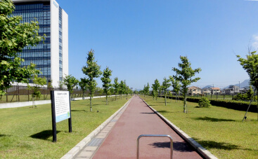 観音寺研究所瀬戸センターの工場用地の部の公園の画像