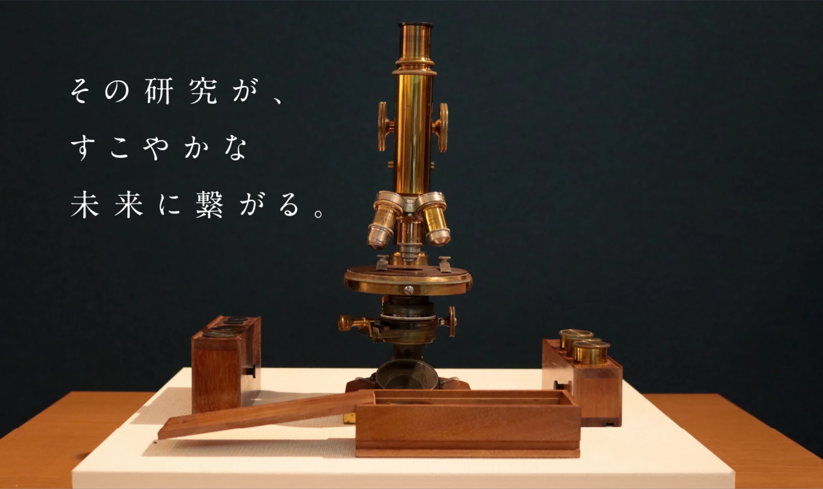 キャッチコピー：その研究が、すこやかな未来に繋がる。