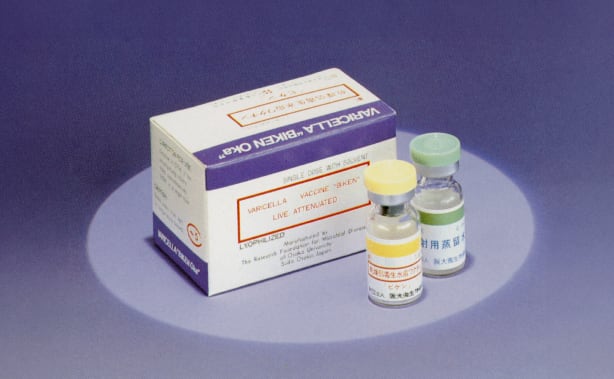 Photo of freeze-dried live attenuated varicella vaccine