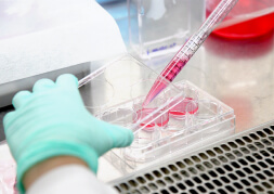 Scene of researchers conducting an experiment
