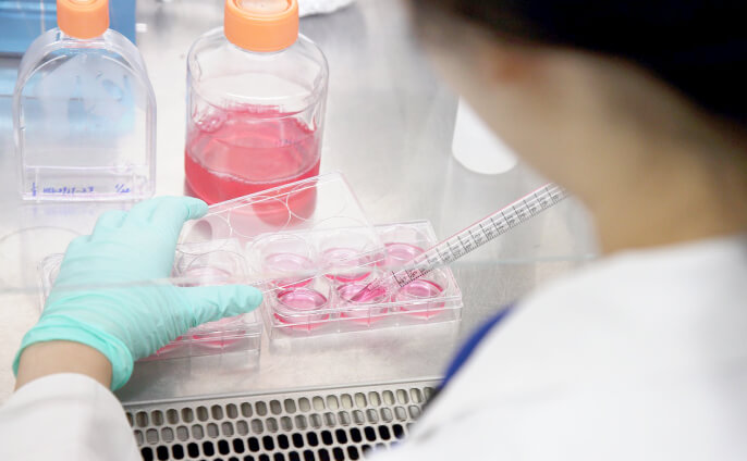 研究開発 一般財団法人 阪大微生物病研究会（BIKEN財団）